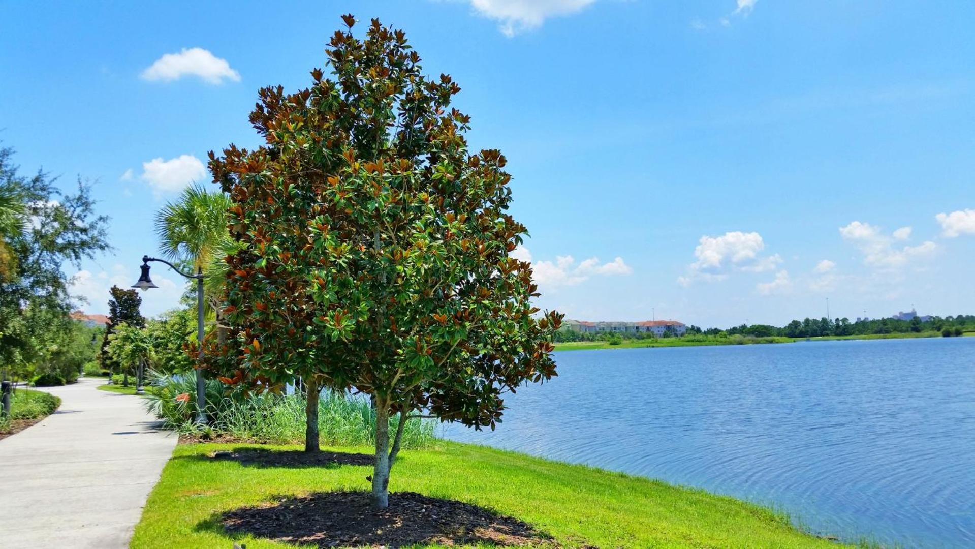 Stylish Vista Cay Townhome Near Conv. Ctr I-Dr. Orlando Exterior foto